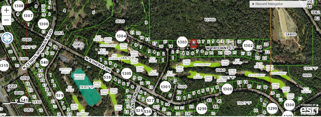This is a map showing residential lots and golf course fairways in a wooded area — 325 W ERIDANI COURT, CITRUS SPRINGS, FL