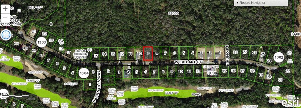 This is a satellite map view showing a residential lot highlighted in red on a street — 325 W ERIDANI COURT, CITRUS SPRINGS, FL