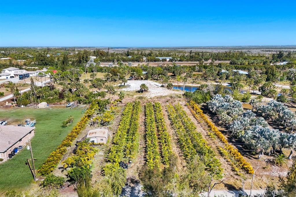 An aerial view shows a large property with rows of palm trees and a small shed — 4442 COURTNEY ROAD, ST JAMES CITY, FL