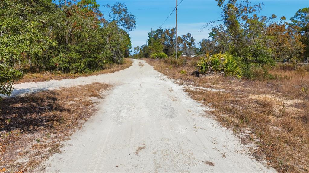 A sandy dirt road stretches through a rural, wooded landscape under a clear blue sky — 9097 N PEEWEE POINT, DUNNELLON, FL