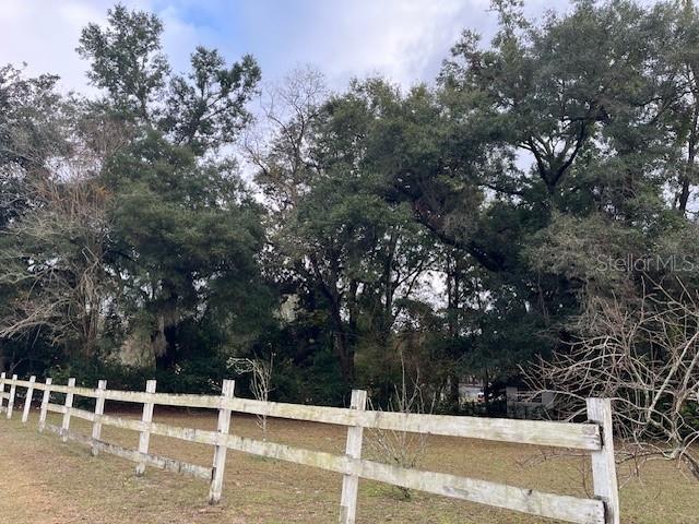 A white wooden fence borders a grassy area in front of a dense grove of trees — 13730 NW 140TH STREET, ALACHUA, FL