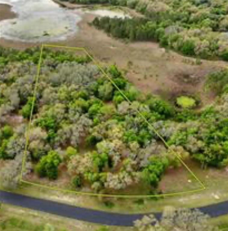 An aerial view shows a wooded, trapezoidal plot of land bordered by a paved road — 3118 BRIGHT LAKE CIRCLE, GROVELAND, FL