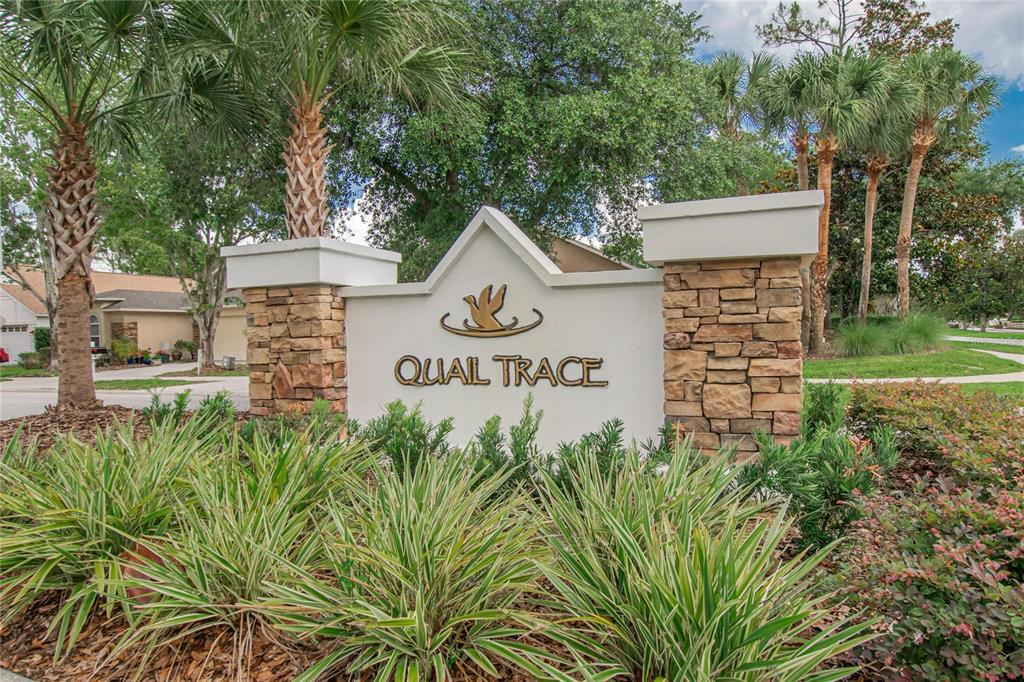 A stone and stucco monument sign for Quail Trace stands in a landscaped garden — 21040 GREEN WING COURT, LAND O LAKES, FL