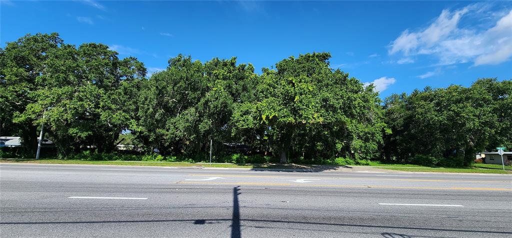 A wide, paved road runs in front of a dense line of mature green trees — MICHIGAN AVENUE, KISSIMMEE, FL