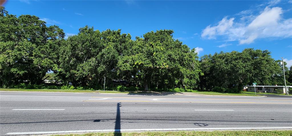 A wide, paved road runs in front of a dense, tree-covered vacant lot — MICHIGAN AVENUE, KISSIMMEE, FL