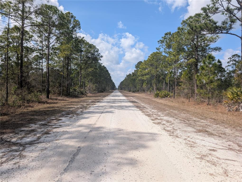 A long, straight dirt road stretches through a pine forest under a blue sky — 614 ALBA DRIVE, INDIAN LAKE ESTATES, FL