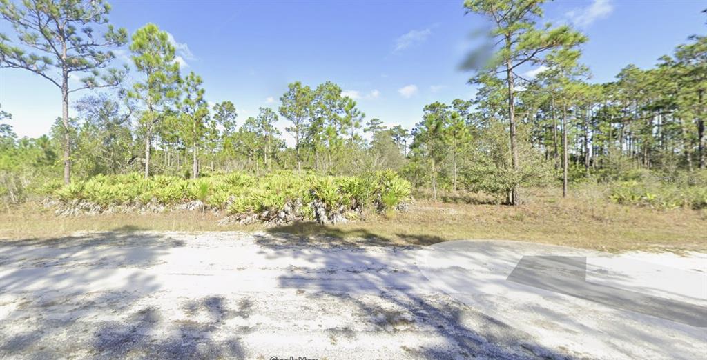 A vacant, wooded lot with sandy ground and palmetto bushes under a blue sky — 614 ALBA DRIVE, INDIAN LAKE ESTATES, FL