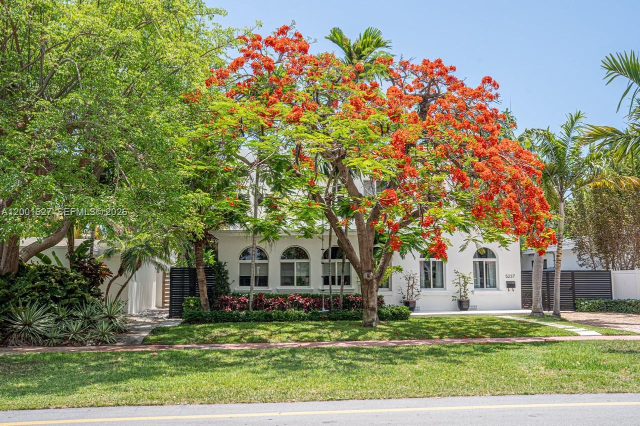 A white two-story house is partially obscured by a large blooming royal poinciana tree — 5237 La Gorce Drive # 5237, Miami Beach FL 33140, MIAMI BEACH, FL
