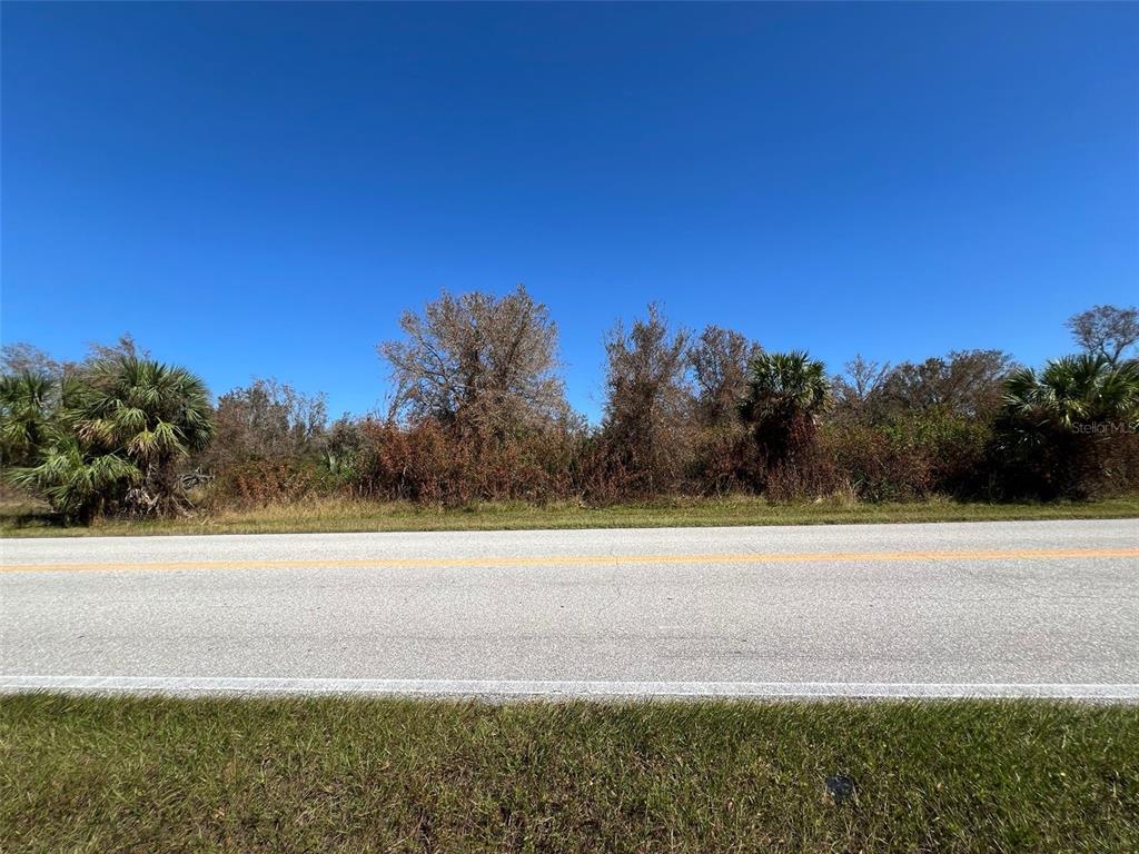 A paved road runs in front of a wooded lot with palm trees and brush — 13224 MARATHON BOULEVARD, PORT CHARLOTTE, FL