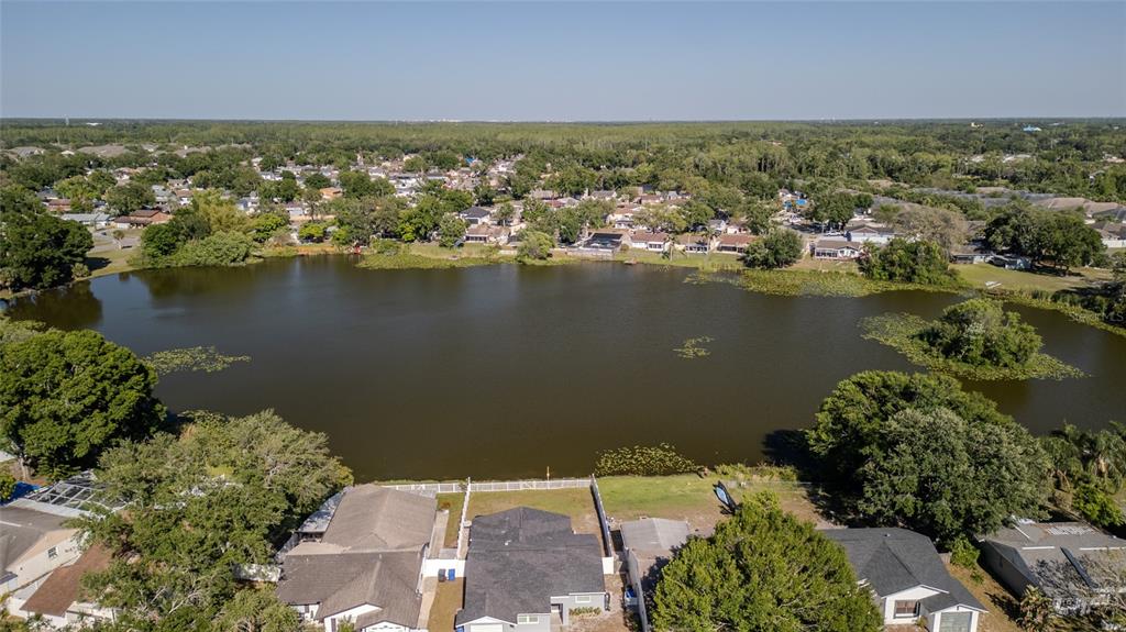 An aerial view shows a residential neighborhood bordering a large lake with lily pads — 12416 QUEENSLAND LANE, TAMPA, FL