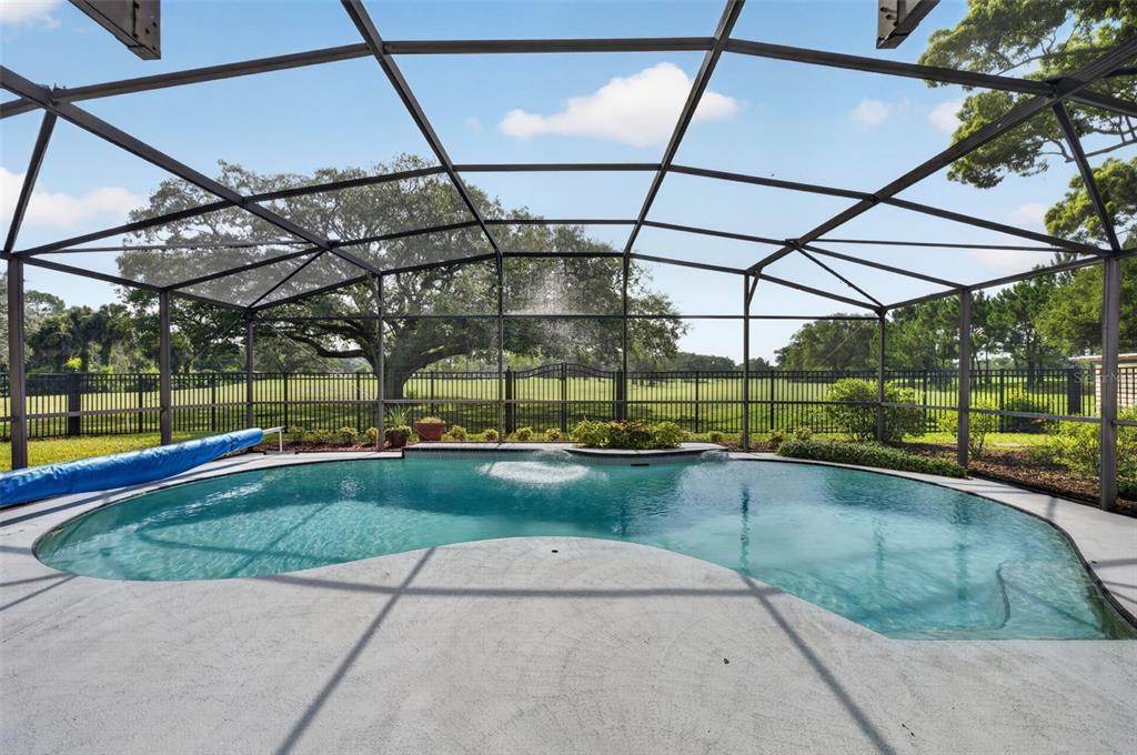 A screened-in swimming pool with a fountain overlooks a grassy yard and a metal fence — 938 GOLFSIDE DRIVE, WINTER PARK, FL