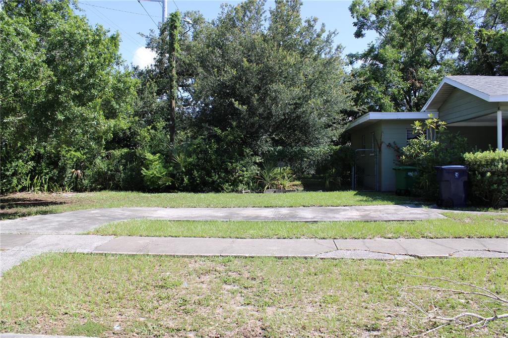 A concrete driveway sits in front of a grassy yard with trees and a house — 3504 E 24TH AVENUE, TAMPA, FL