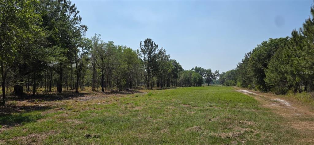 A grassy field is bordered by a line of trees and a dirt path — 10434 SE 225TH DRIVE, HAWTHORNE, FL