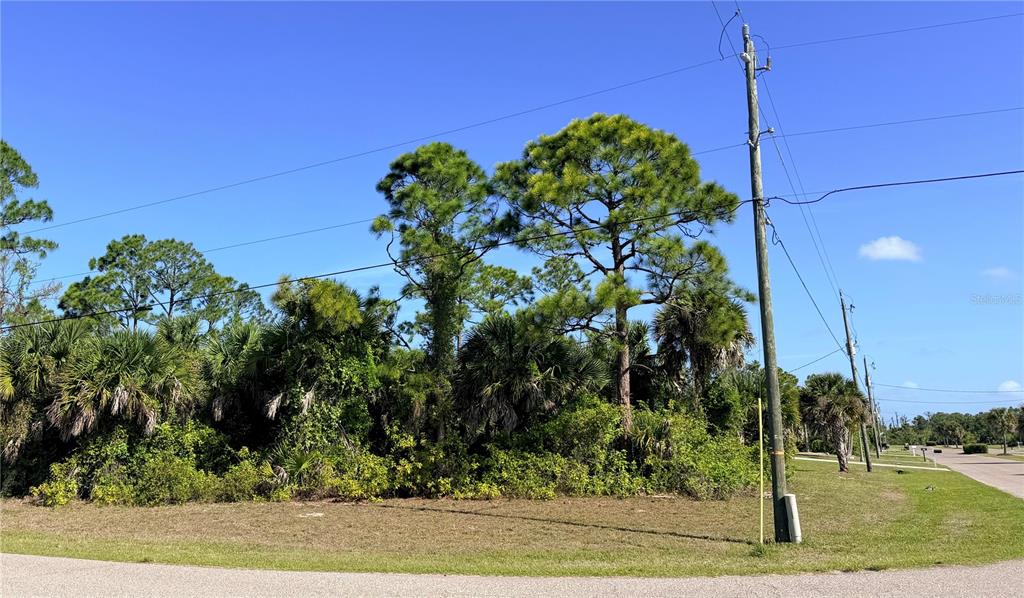 A vacant, wooded lot with tall pine trees and utility poles under a clear sky — 118 DAVID BOULEVARD, ROTONDA WEST, FL