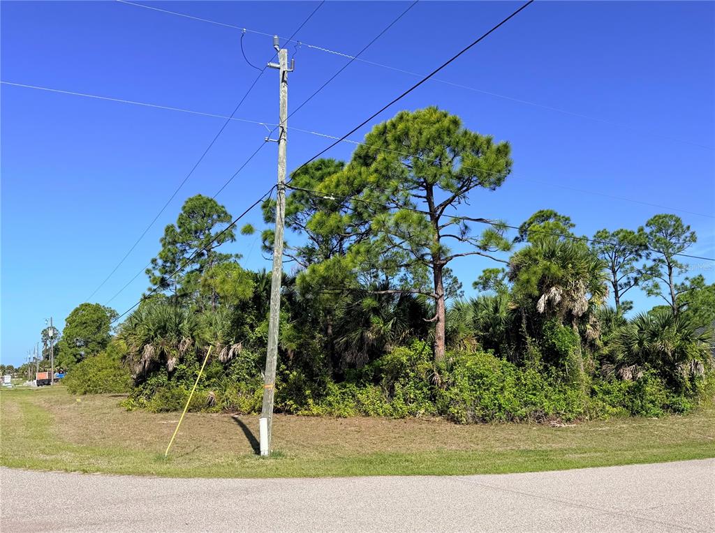 A utility pole stands in front of a wooded lot with pine trees and shrubs — 118 DAVID BOULEVARD, ROTONDA WEST, FL