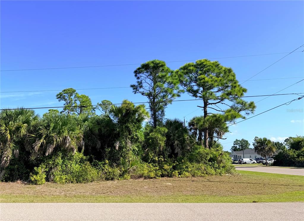 A vacant, grassy lot features dense vegetation and several tall pine trees under a clear sky — 118 DAVID BOULEVARD, ROTONDA WEST, FL