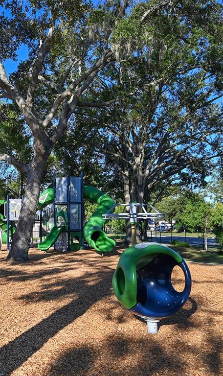 A playground with a green slide structure and a spherical spinner on wood chip mulch — 2007 ELK AVENUE, SARASOTA, FL