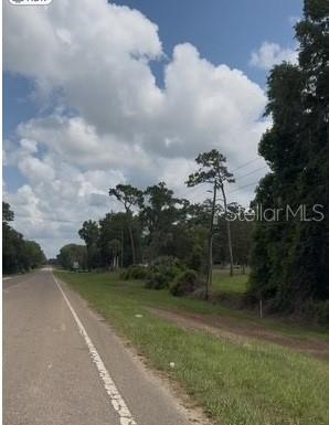 A paved road runs alongside a grassy lot with scattered trees under a cloudy sky — 17297 PONCE DE LEON BOULEVARD, BROOKSVILLE, FL