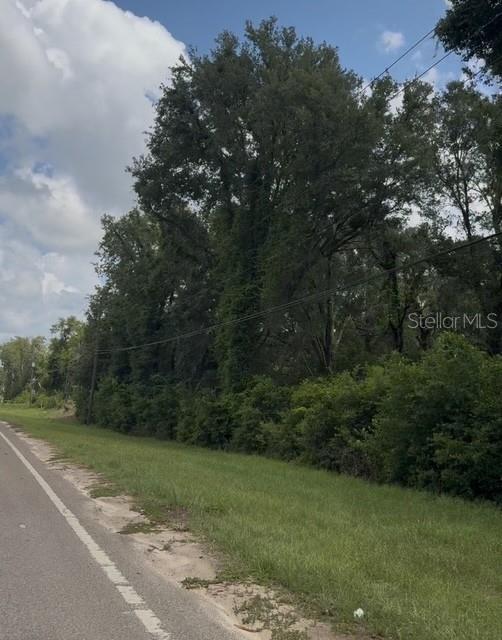 A paved road runs alongside a grassy verge bordering a line of tall, dense trees — 17297 PONCE DE LEON BOULEVARD, BROOKSVILLE, FL