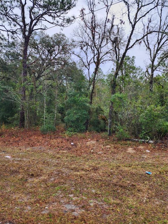A wooded lot with scattered dry leaves and vegetation under an overcast sky — 7360 W DUNNELLON ROAD, DUNNELLON, FL