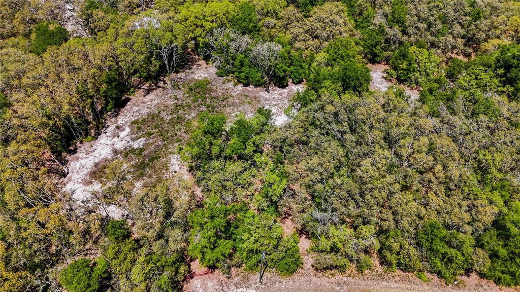 An aerial view shows a wooded lot with a large, cleared sandy area — 34281 UMBRELLA ROCK DRIVE, WEBSTER, FL