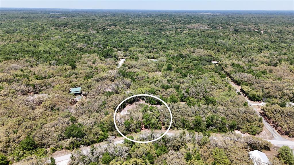 An aerial view shows a wooded lot with a white circle highlighting a cleared area — 34281 UMBRELLA ROCK DRIVE, WEBSTER, FL