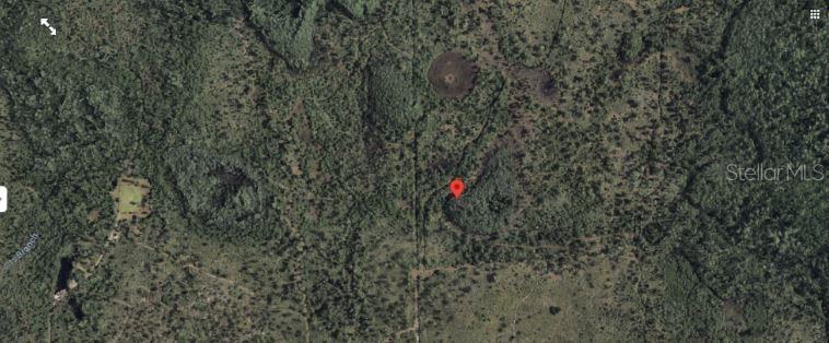 This is an aerial map view of a wooded lot with a red location pin — 2307 DILL ROAD, ORLANDO, FL