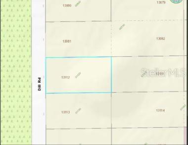 This is a map showing a highlighted rectangular land parcel adjacent to a road — 2307 DILL ROAD, ORLANDO, FL