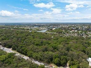 An aerial view shows a dense forest area next to a road and a waterway — 52XX N OCEAN SHORE BOULEVARD, PALM COAST, FL