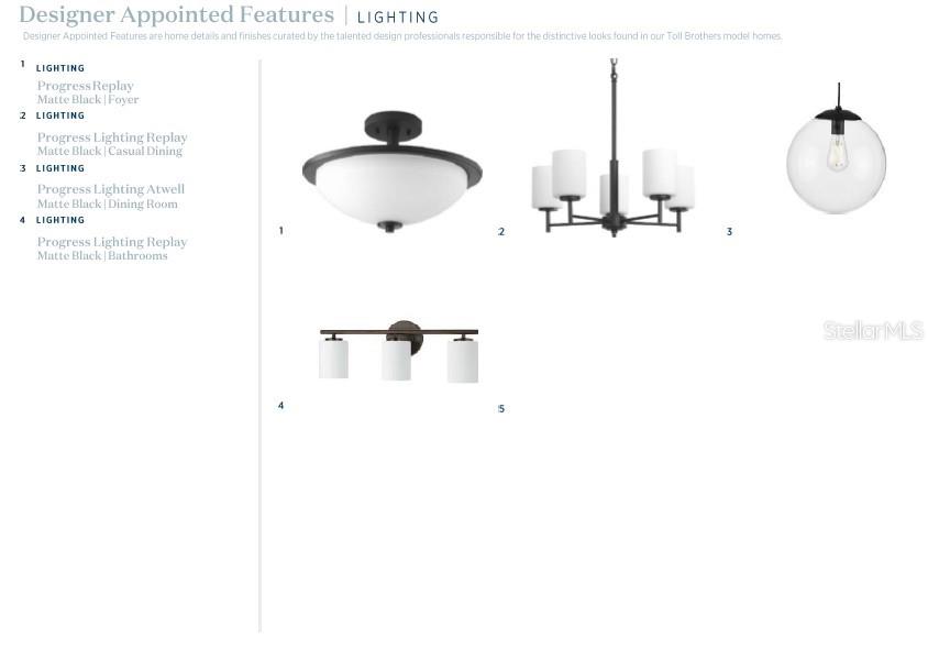 This image displays a catalog of five matte black lighting fixtures for a home — 2608 LONG PINE AVENUE, APOPKA, FL