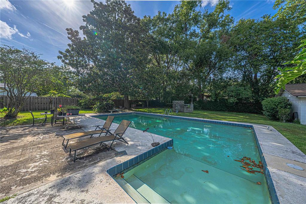 A backyard swimming pool with a patio, lounge chairs, and mature trees in the background — 2137 SE 11TH STREET, OCALA, FL