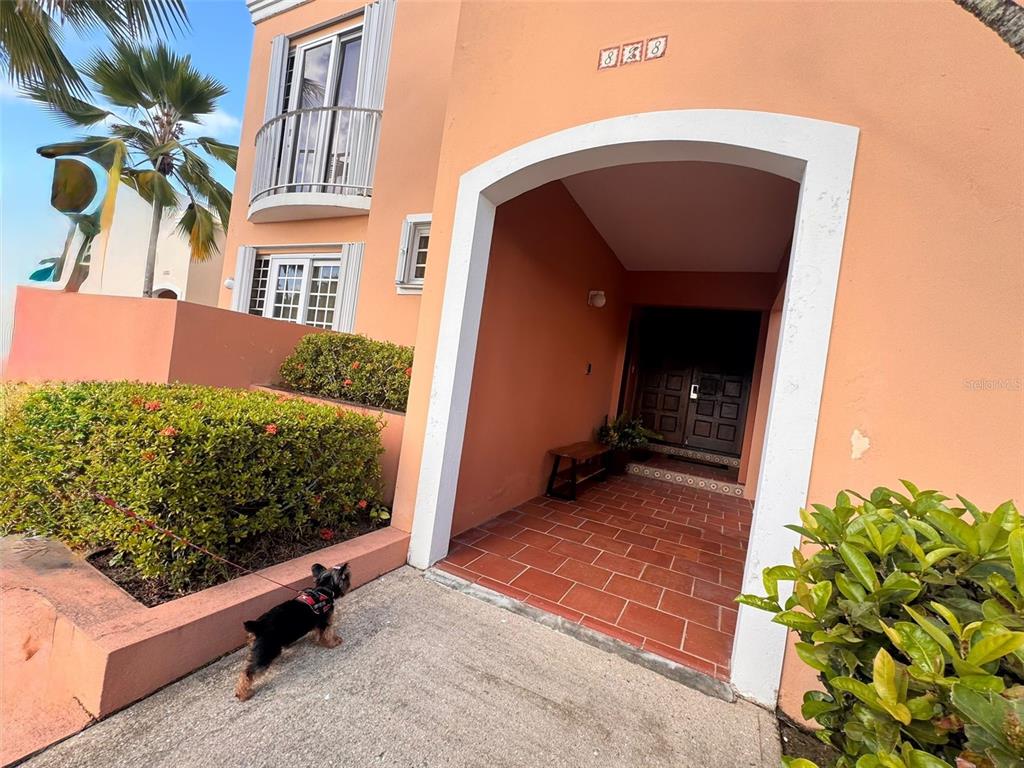A small dog stands on a concrete walkway in front of a peach-colored house entrance — Fairway Courts FAIRWAY COURTS UNIT 828, HUMACAO, PR