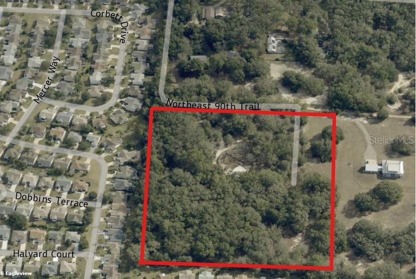 An aerial view shows a rectangular wooded lot outlined in red near a residential neighborhood — 8801 NE 90TH TRAIL, FRUITLAND PARK, FL