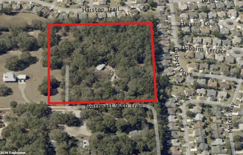 This is an aerial map showing a wooded lot outlined in red — 8801 NE 90TH TRAIL, FRUITLAND PARK, FL