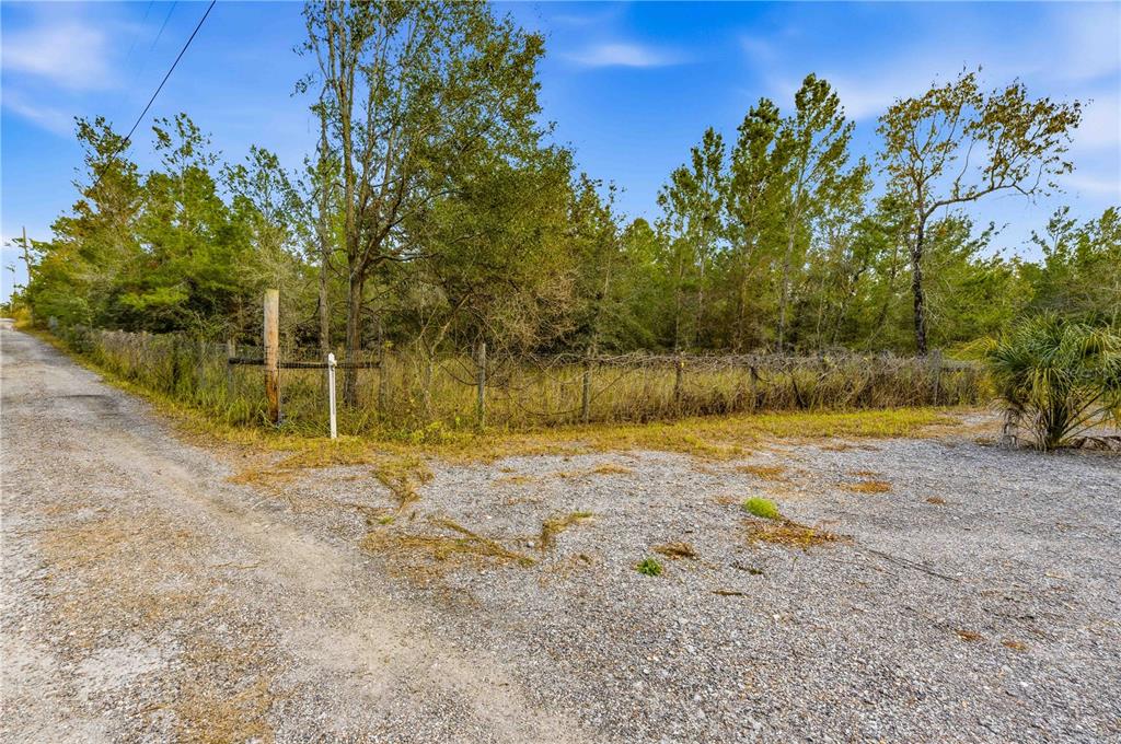 A gravel road leads to a fenced, wooded lot with a wooden post and sign — 0 BACKWOODS WAY, BROOKSVILLE, FL