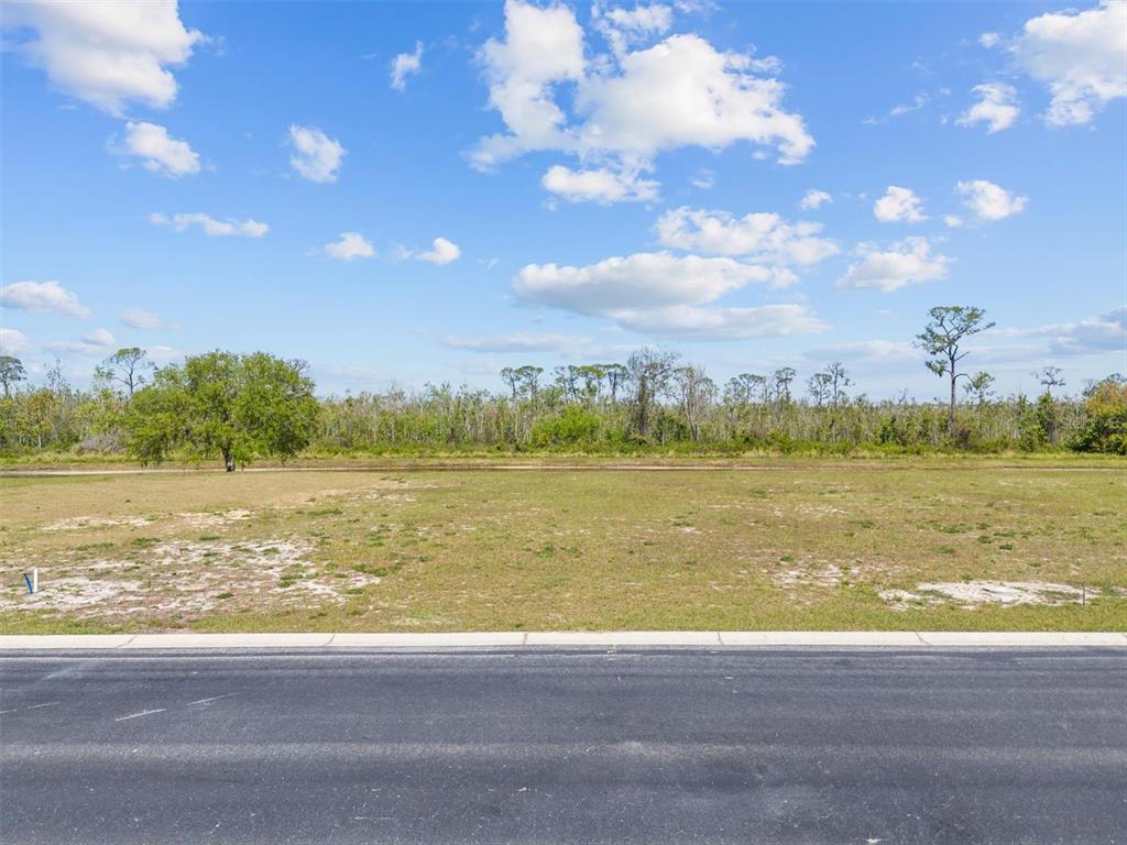 A vacant, grassy residential lot sits adjacent to a paved road under a blue sky — 345 ADAMS VIEW LANE, AUBURNDALE, FL