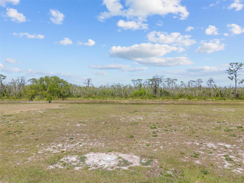 A flat, grassy field with a small circular utility cover and a distant tree line — 345 ADAMS VIEW LANE, AUBURNDALE, FL
