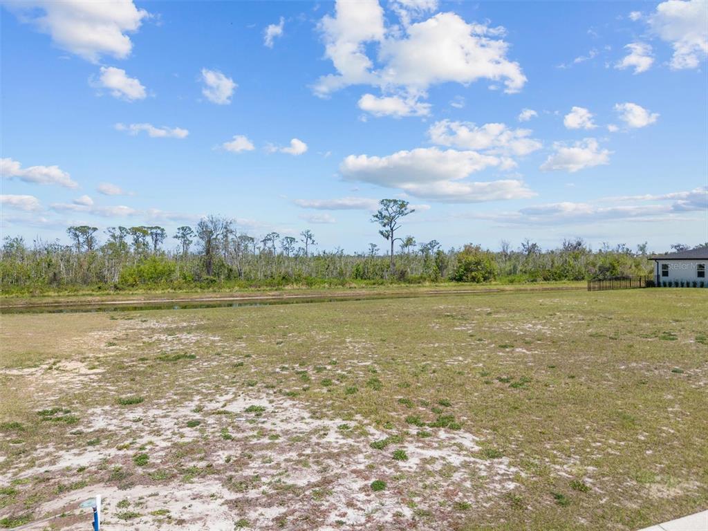A grassy lot features a small pond and a line of trees under a cloudy sky — 345 ADAMS VIEW LANE, AUBURNDALE, FL