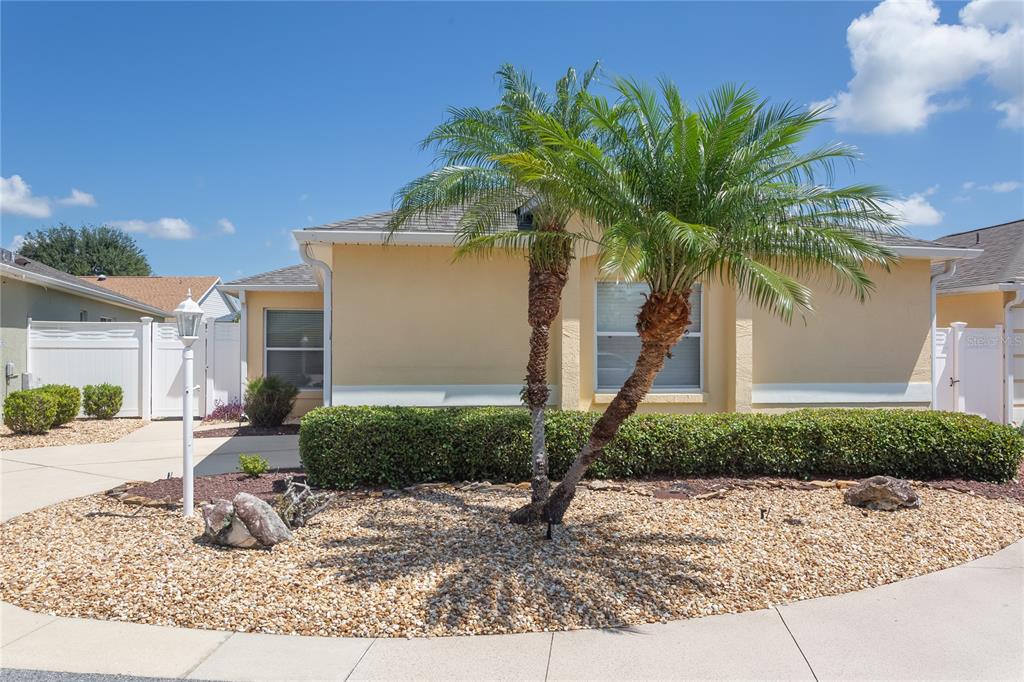 A single-story house with a palm tree in the front yard and a gravel garden — 1497 ALEXANDRIA PLACE, THE VILLAGES, FL