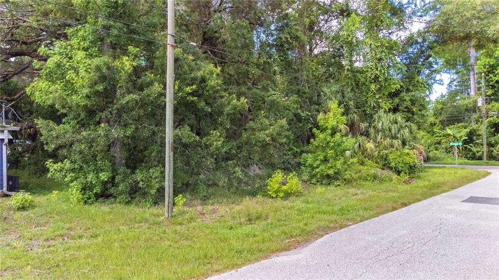 A view of a grassy roadside lot with dense trees and utility poles — 6416 THERESA AVENUE, WEEKI WACHEE, FL