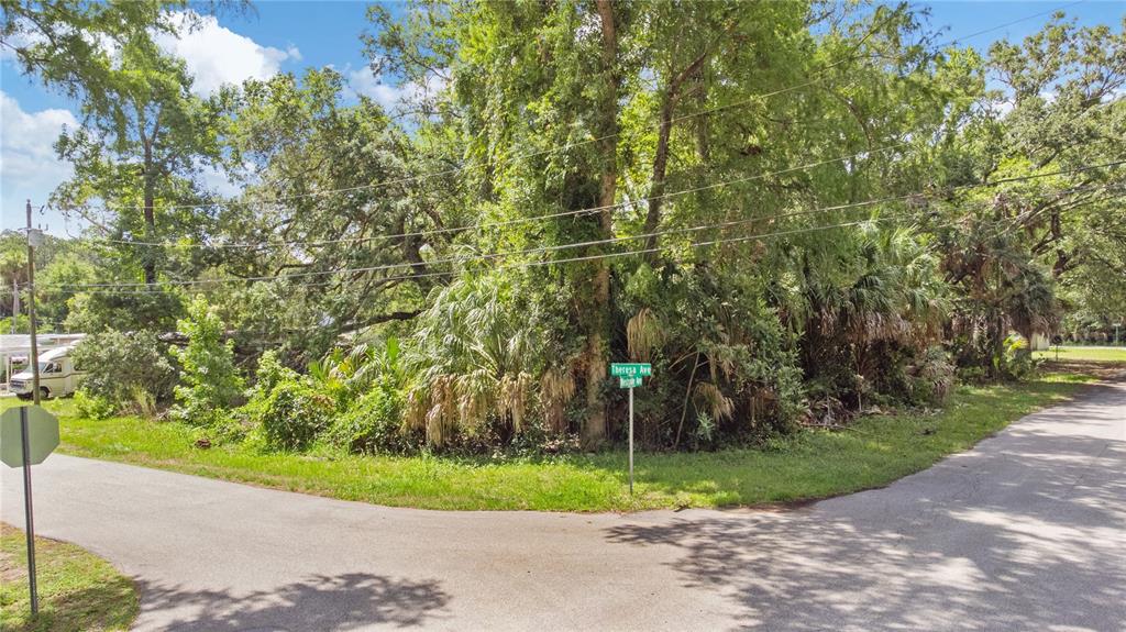 A vacant, wooded corner lot is situated at the intersection of two paved roads — 6416 THERESA AVENUE, WEEKI WACHEE, FL