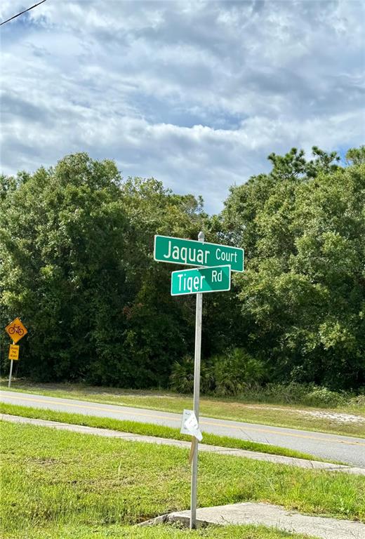 A street sign for Jaquar Court and Tiger Rd stands beside a road and trees — 638 JAGUAR COURT, KISSIMMEE, FL