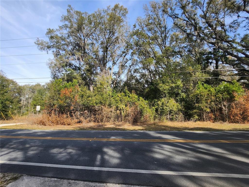 A view of a wooded, undeveloped lot located behind a paved two-lane road — SE 36TH CT, SUMMERFIELD, FL