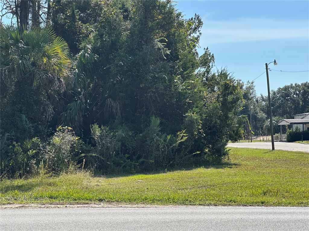 A grassy lot with dense trees and shrubs sits next to a paved road — 4025 S MISSOURI STREET, HOMOSASSA, FL
