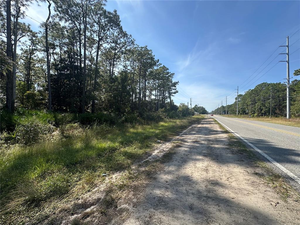 A paved road runs alongside a sandy shoulder and a wooded area with tall pines — 4025 S MISSOURI STREET, HOMOSASSA, FL