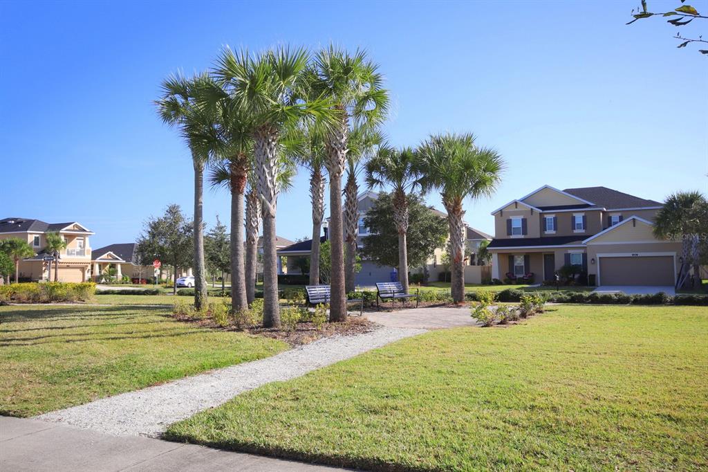 A grassy park area features a gravel path, palm trees, and benches in front of houses — 8827 SENTIERO DRIVE, LAND O LAKES, FL
