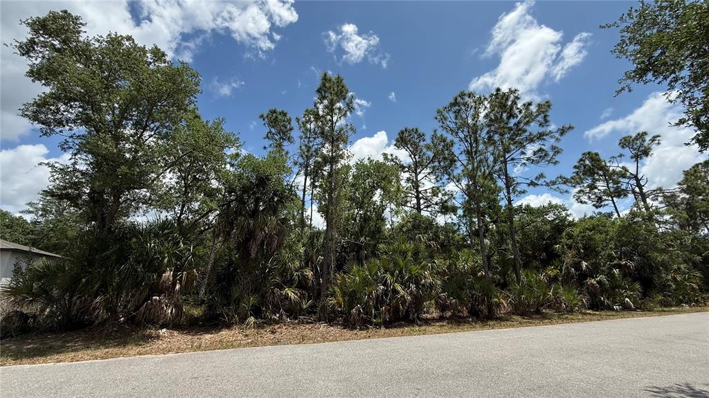 A paved road runs in front of a wooded lot with tall pine trees — 376 MUNOZ STREET, PORT CHARLOTTE, FL