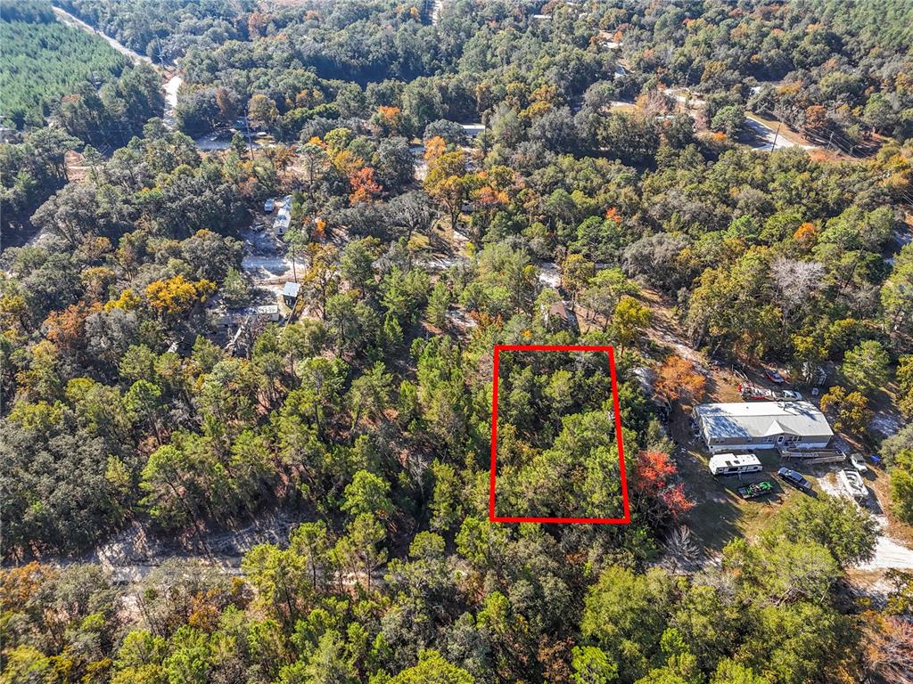 An aerial view shows a rectangular plot of land outlined in red amidst dense woods — 109 LUCAS STREET, SATSUMA, FL