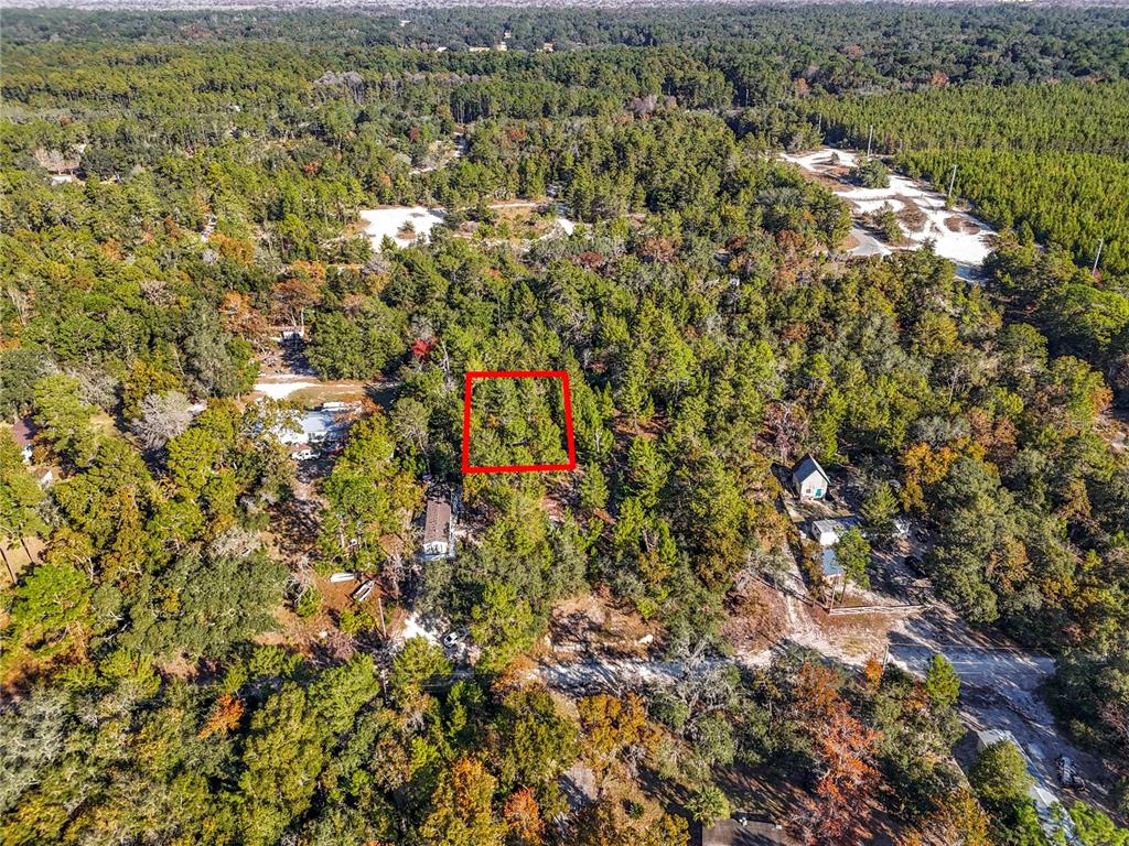 An aerial view shows a rectangular plot of land outlined in red amidst a forest — 109 LUCAS STREET, SATSUMA, FL