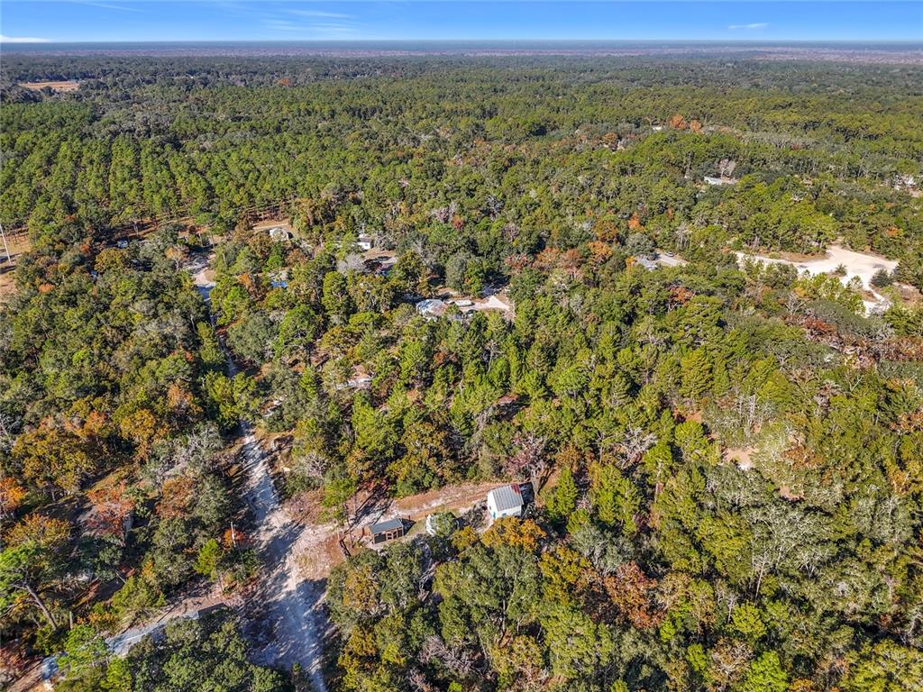 An aerial view shows a small house and shed nestled within a dense, wooded area — 109 LUCAS STREET, SATSUMA, FL